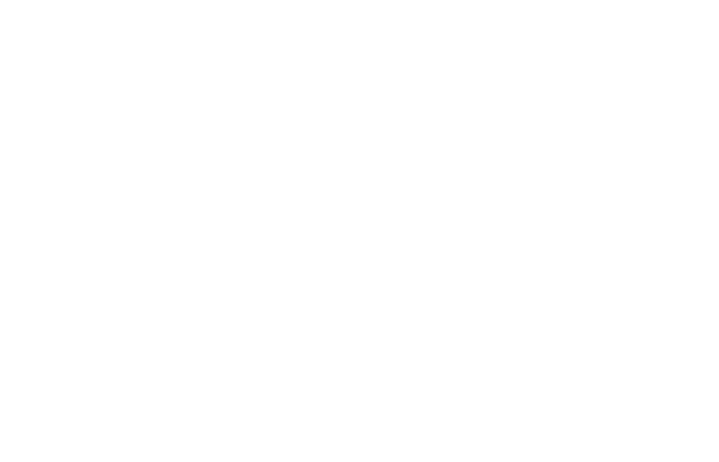 Sogefi